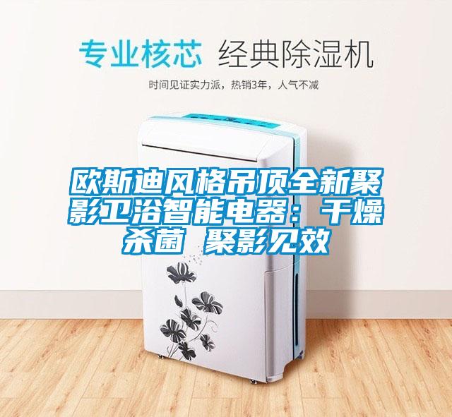 歐斯迪風格吊頂全新聚影衛(wèi)浴智能電器：干燥殺菌 聚影見效