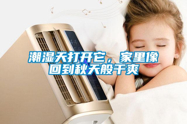 潮濕天打開它，家里像回到秋天般干爽