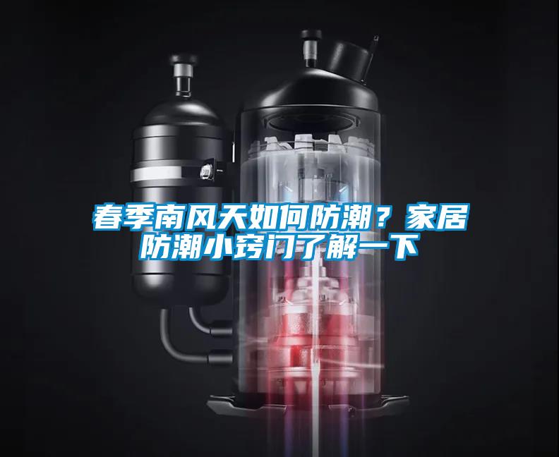 春季南風(fēng)天如何防潮？家居防潮小竅門了解一下