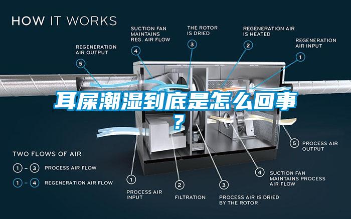 耳屎潮濕到底是怎么回事？