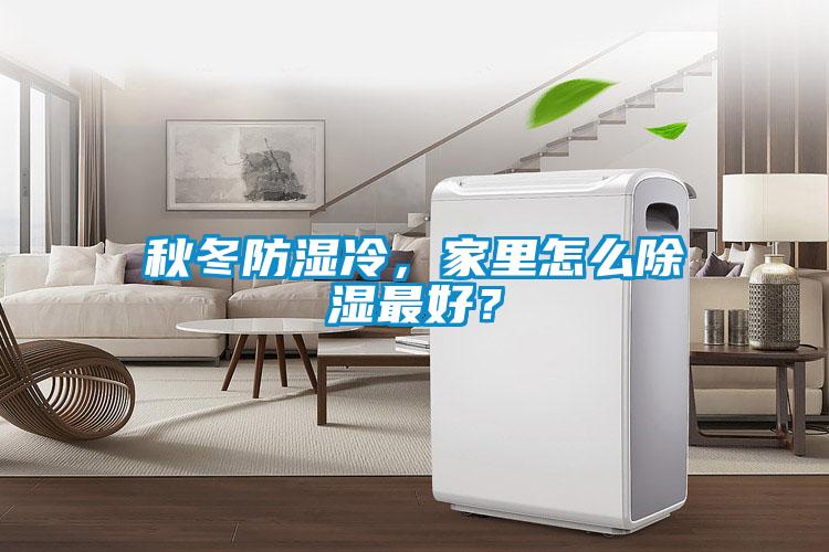 秋冬防濕冷，家里怎么除濕最好？