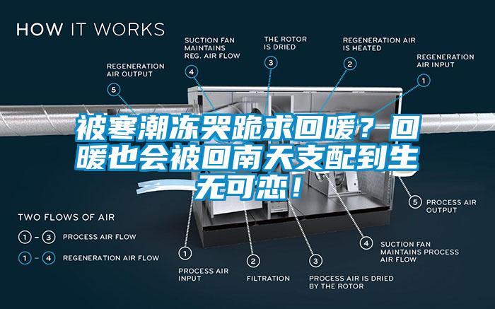 被寒潮凍哭跪求回暖？回暖也會被回南天支配到生無可戀！