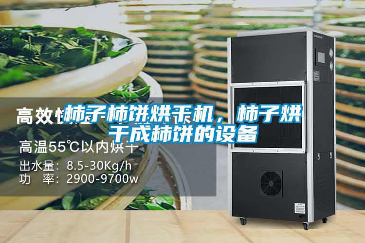 柿子柿餅烘干機，柿子烘干成柿餅的設備