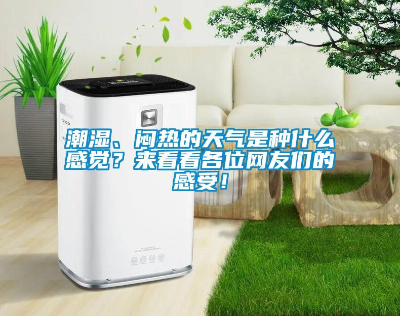 潮濕、悶熱的天氣是種什么感覺(jué)？來(lái)看看各位網(wǎng)友們的感受！