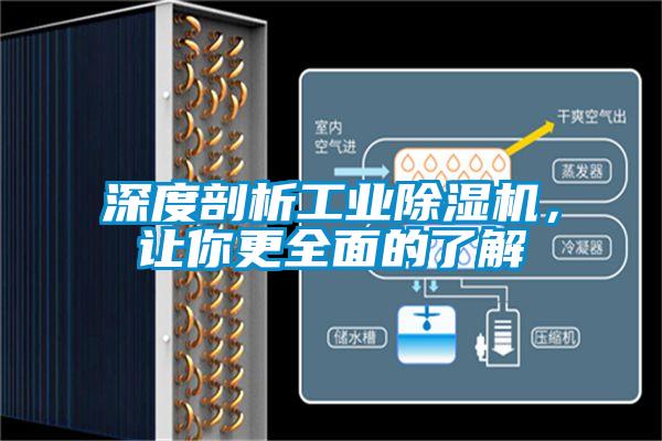 深度剖析工業(yè)除濕機(jī)，讓你更全面的了解