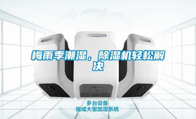 梅雨季潮濕，除濕機輕松解決
