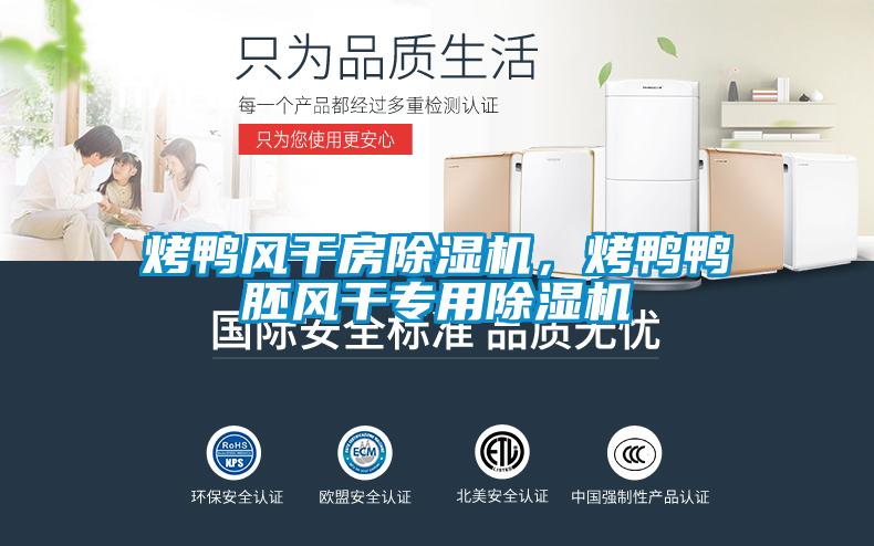 烤鴨風干房除濕機，烤鴨鴨胚風干專用除濕機