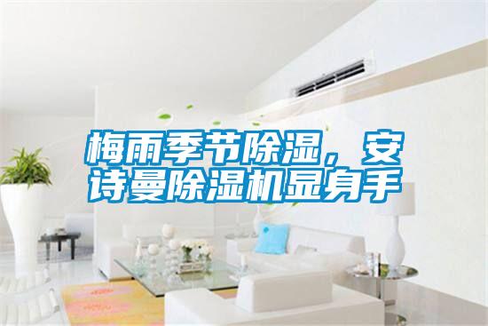 梅雨季節(jié)除濕，安詩曼除濕機(jī)顯身手