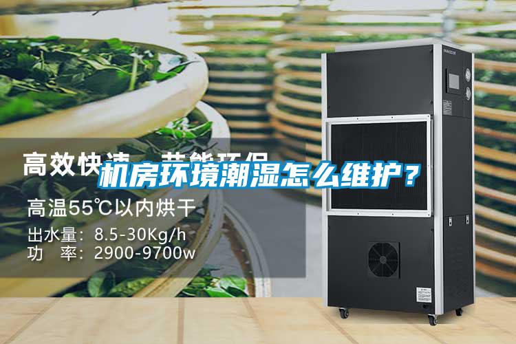 機房環(huán)境潮濕怎么維護？