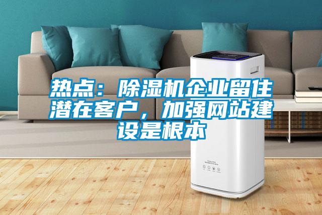 熱點：除濕機企業(yè)留住潛在客戶，加強網站建設是根本