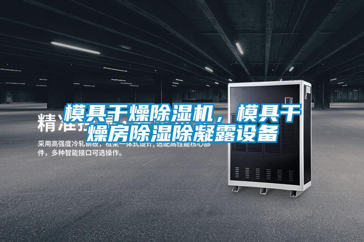 模具干燥除濕機，模具干燥房除濕除凝露設(shè)備