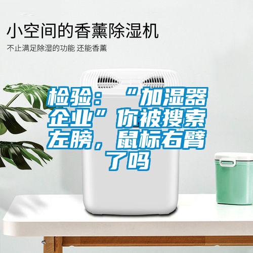 檢驗(yàn)：“加濕器企業(yè)”你被搜索左膀，鼠標(biāo)右臂了嗎