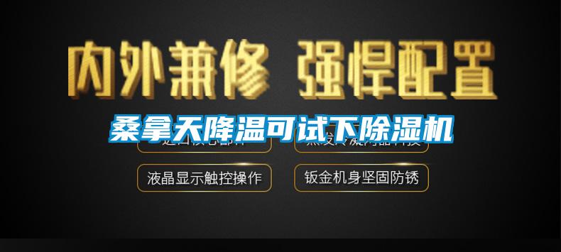 桑拿天降溫可試下除濕機