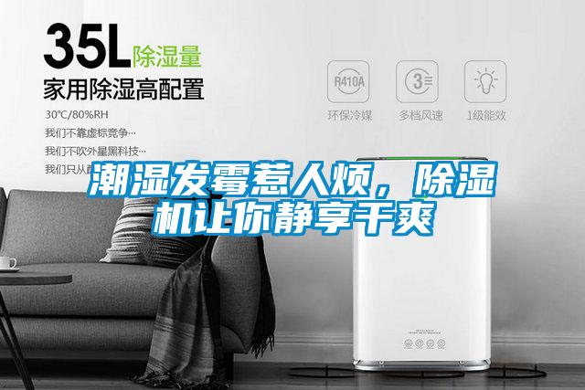 潮濕發(fā)霉惹人煩，除濕機(jī)讓你靜享干爽