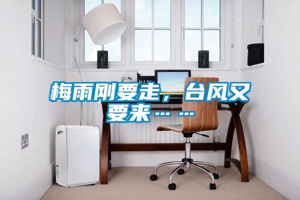 梅雨剛要走，臺風又要來……