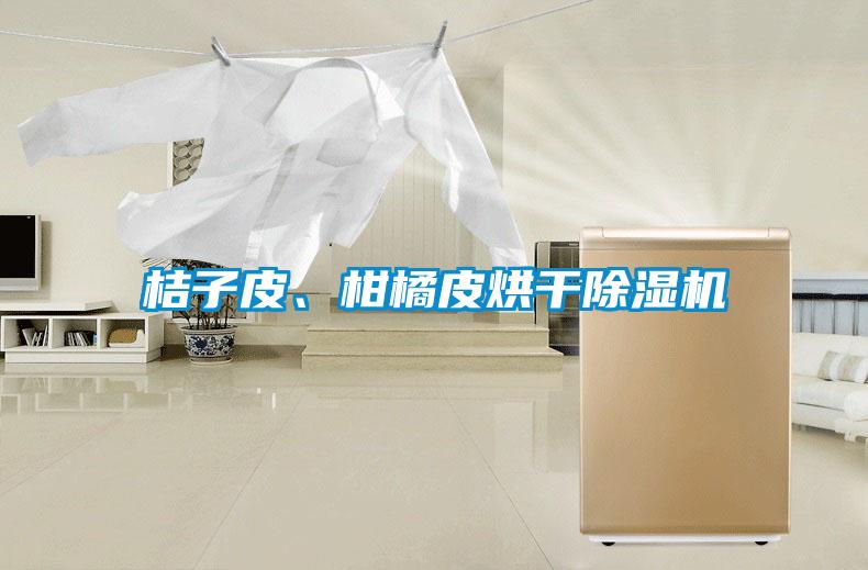 桔子皮、柑橘皮烘干除濕機(jī)