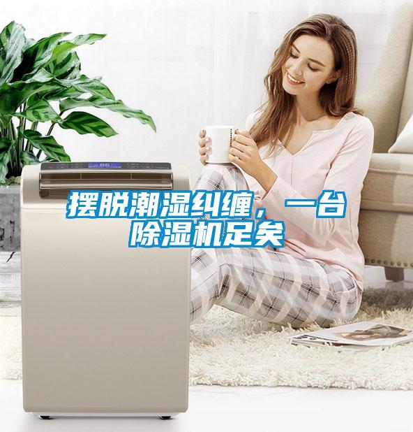 擺脫潮濕糾纏，一臺除濕機足矣