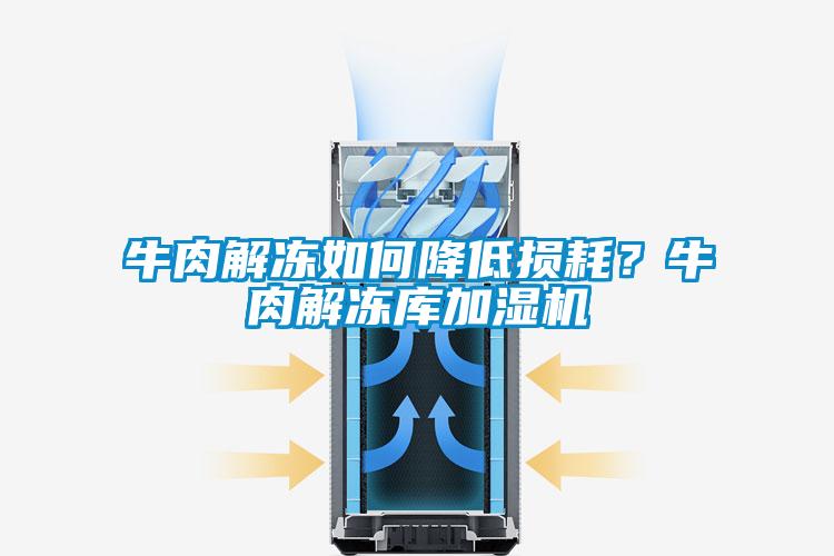 牛肉解凍如何降低損耗？牛肉解凍庫加濕機