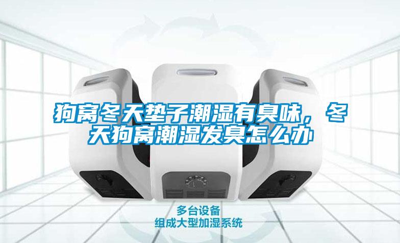 狗窩冬天墊子潮濕有臭味，冬天狗窩潮濕發(fā)臭怎么辦