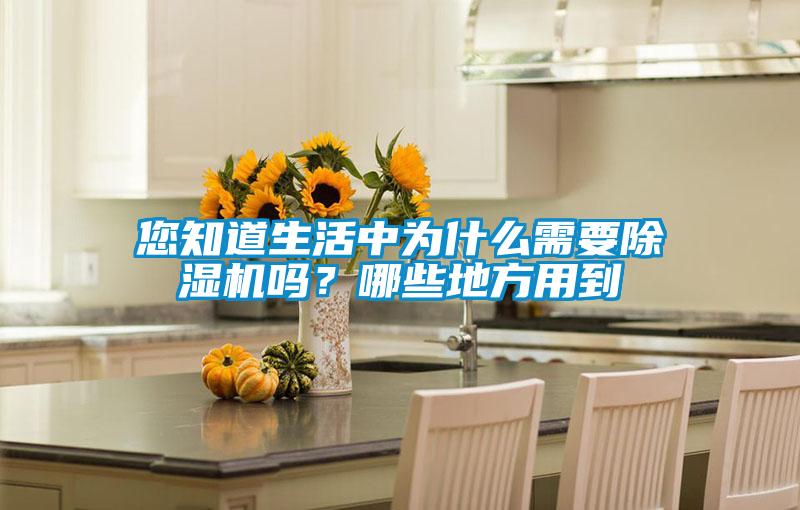 您知道生活中為什么需要除濕機嗎？哪些地方用到
