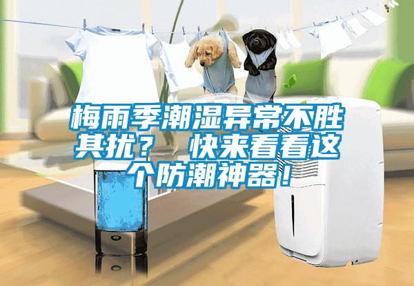 梅雨季潮濕異常不勝其擾？ 快來(lái)看看這個(gè)防潮神器！