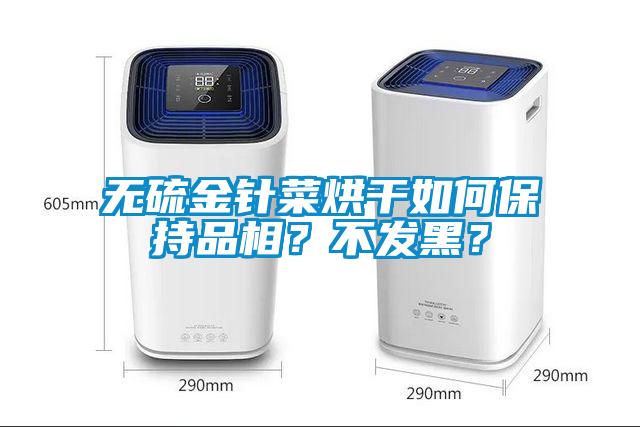 無(wú)硫金針菜烘干如何保持品相？不發(fā)黑？