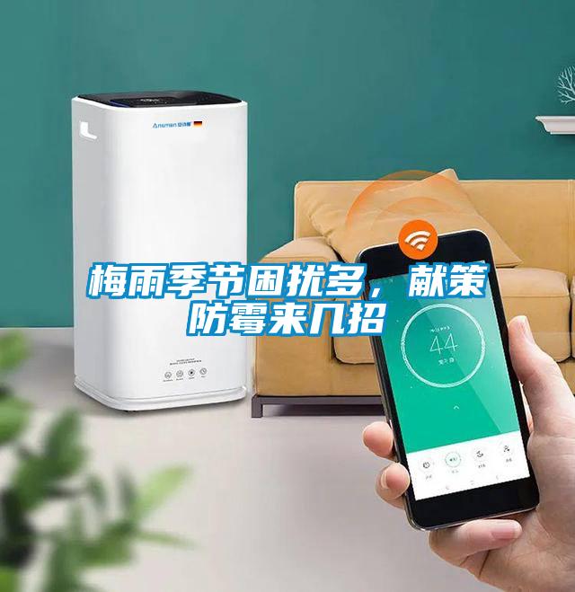 梅雨季節(jié)困擾多，獻策防霉來幾招