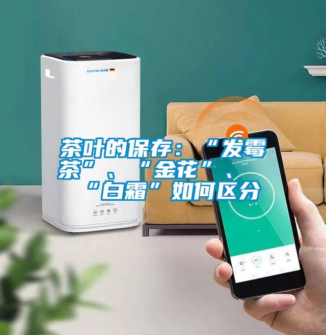 茶葉的保存：“發(fā)霉茶”、“金花”、“白霜”如何區(qū)分