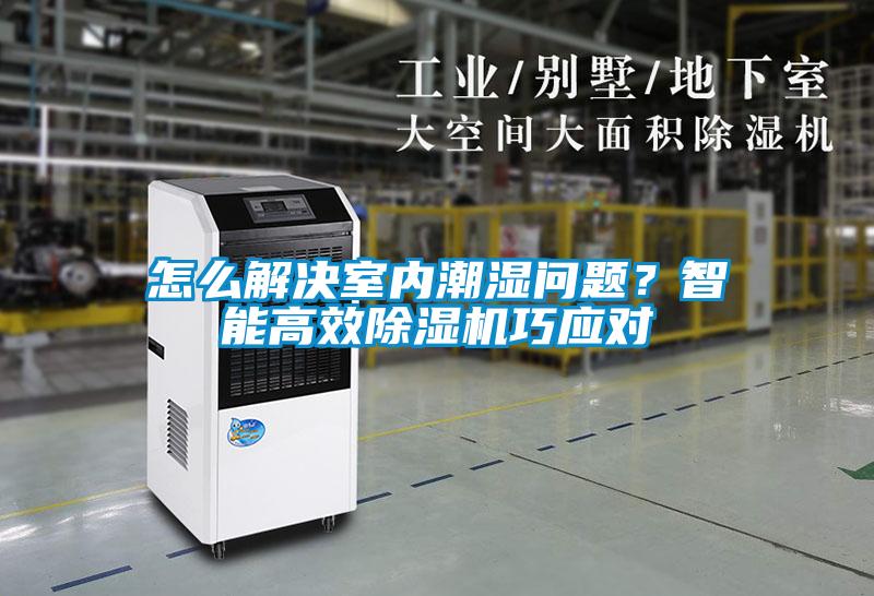 怎么解決室內潮濕問題？智能高效除濕機巧應對