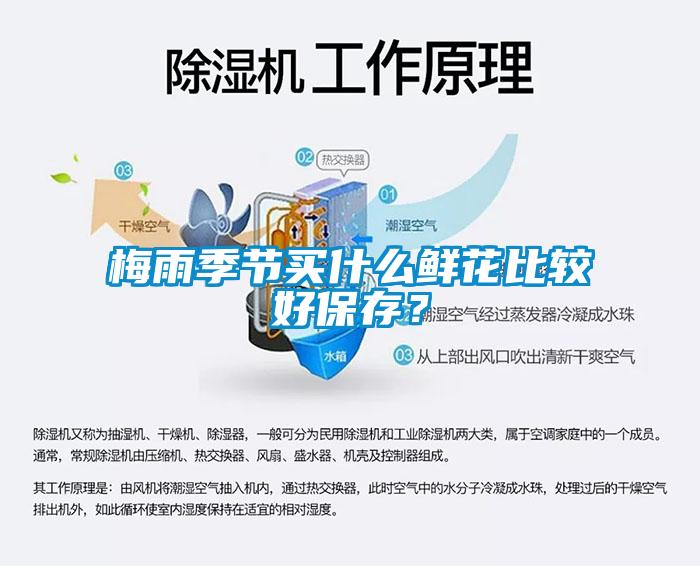 梅雨季節(jié)買什么鮮花比較好保存？