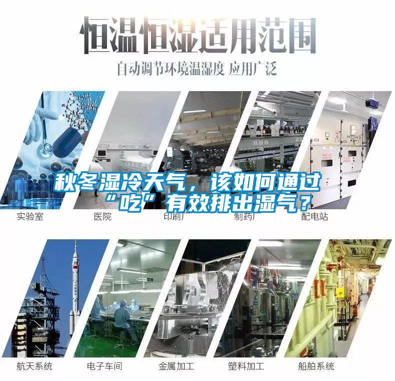 秋冬濕冷天氣，該如何通過“吃”有效排出濕氣？