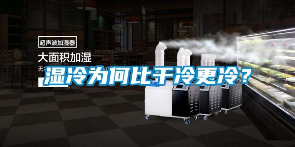 濕冷為何比干冷更冷？