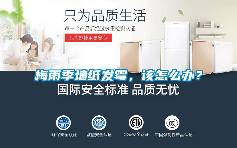 梅雨季墻紙發(fā)霉，該怎么辦？