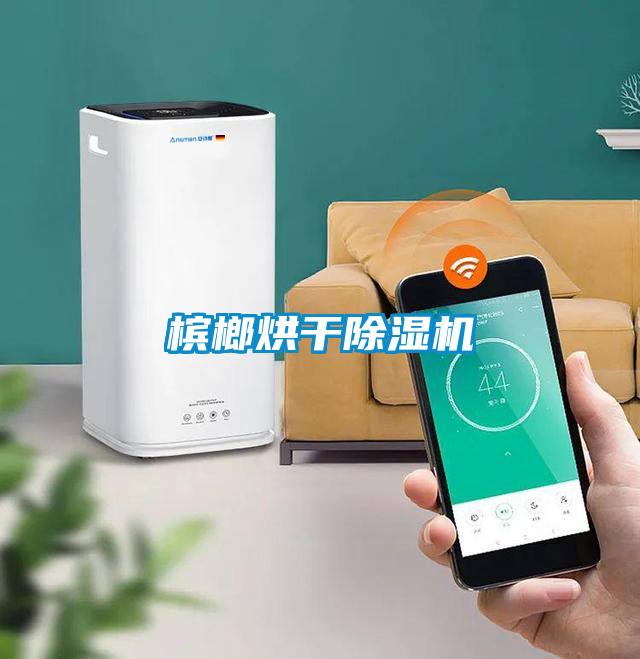 檳榔烘干除濕機(jī)