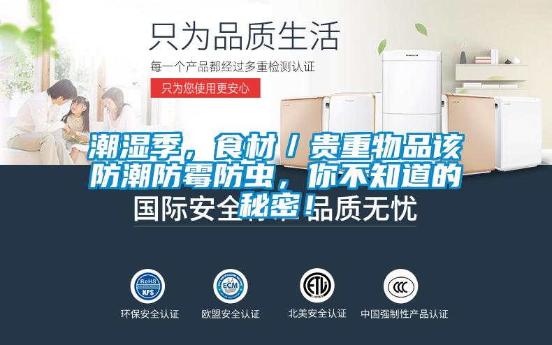 潮濕季，食材／貴重物品該防潮防霉防蟲，你不知道的秘密！