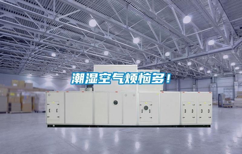 潮濕空氣煩惱多！