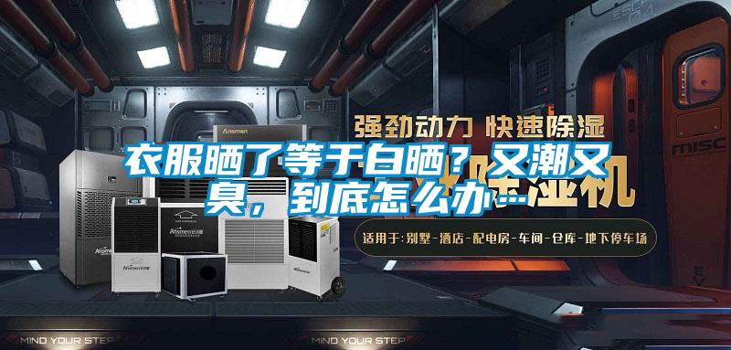 衣服曬了等于白曬？又潮又臭，到底怎么辦…
