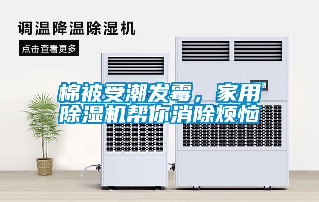 棉被受潮發(fā)霉，家用除濕機幫你消除煩惱