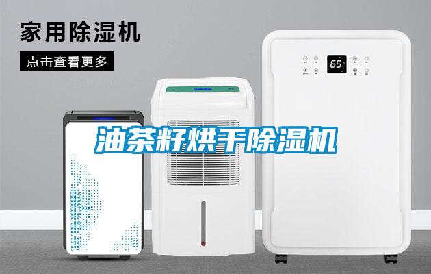 油茶籽烘干除濕機