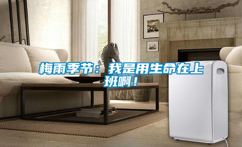 梅雨季節(jié):我是用生命在上班啊!