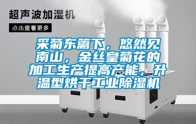 采菊東籬下，悠然見南山，金絲皇菊花的加工生產(chǎn)提高產(chǎn)能，升溫型烘干工業(yè)除濕機