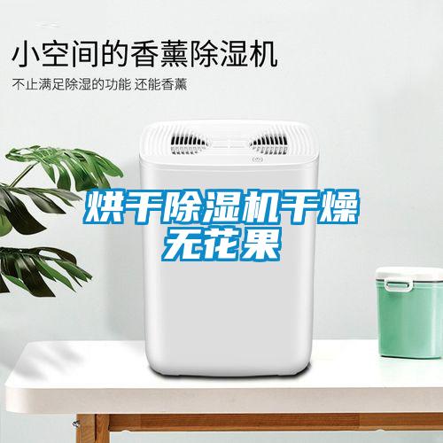烘干除濕機(jī)干燥無(wú)花果
