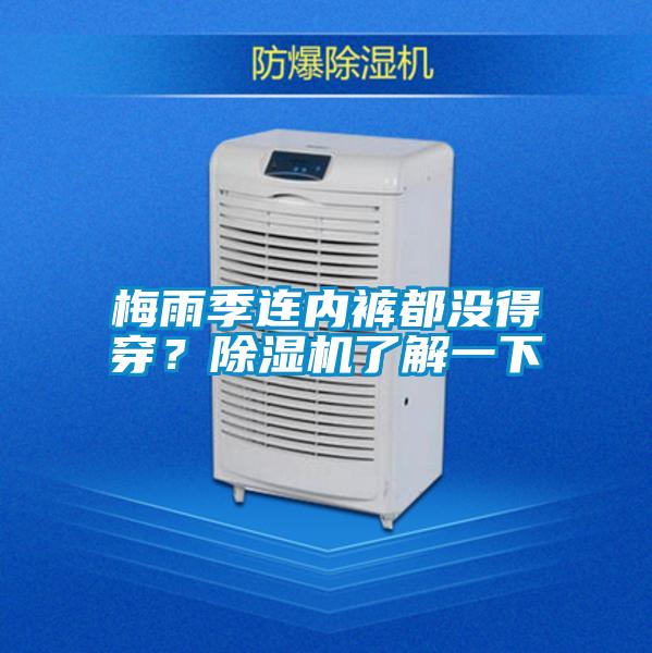 梅雨季連內褲都沒得穿？除濕機了解一下