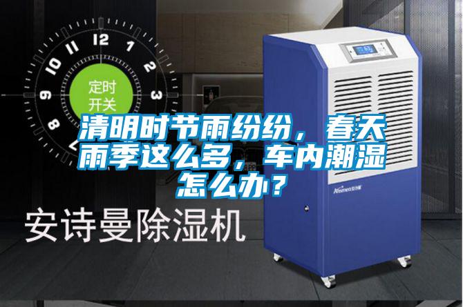 清明時節(jié)雨紛紛，春天雨季這么多，車內(nèi)潮濕怎么辦？