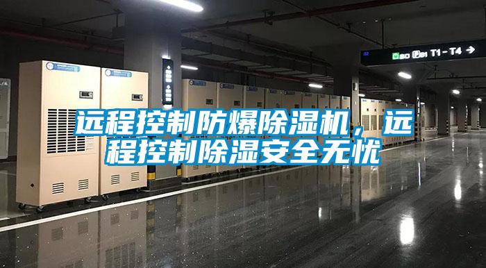 遠(yuǎn)程控制防爆除濕機(jī)，遠(yuǎn)程控制除濕安全無憂