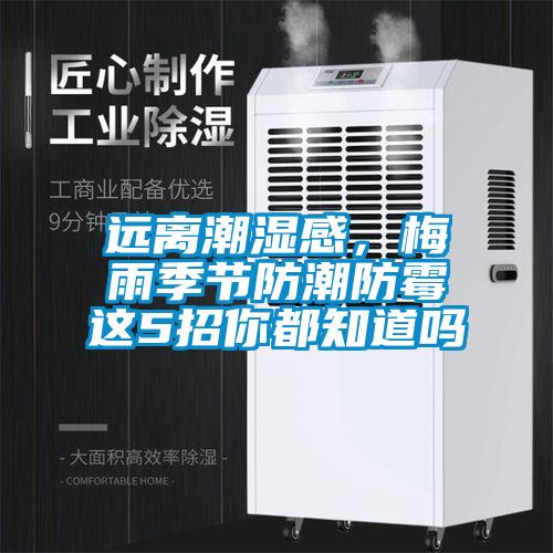 遠(yuǎn)離潮濕感，梅雨季節(jié)防潮防霉這5招你都知道嗎