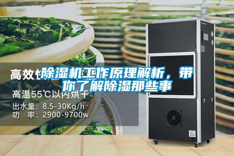 除濕機(jī)工作原理解析，帶你了解除濕那些事
