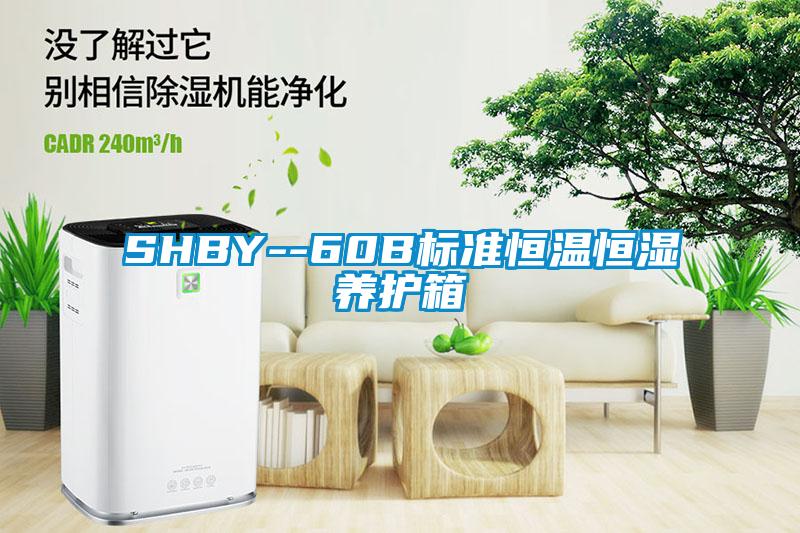 SHBY--60B標(biāo)準(zhǔn)恒溫恒濕養(yǎng)護箱