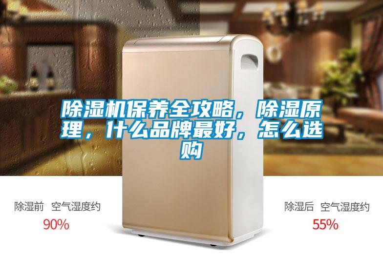 除濕機(jī)保養(yǎng)全攻略，除濕原理，什么品牌最好，怎么選購