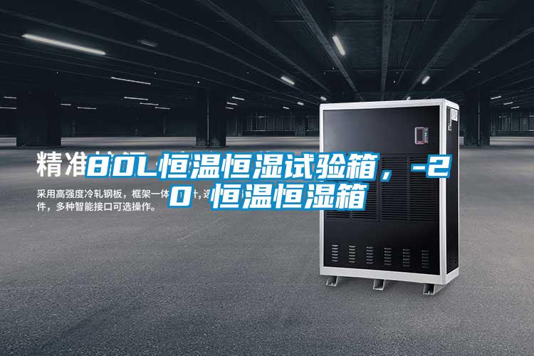 80L恒溫恒濕試驗(yàn)箱，-20℃恒溫恒濕箱
